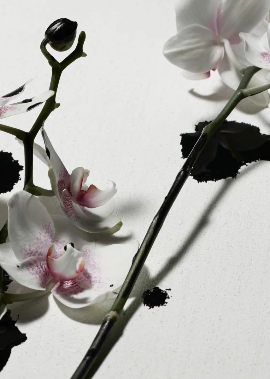 Perle De Coco Body Scrub