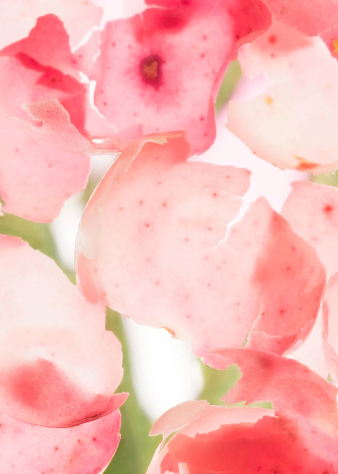 Perle De Coco Body Scrub