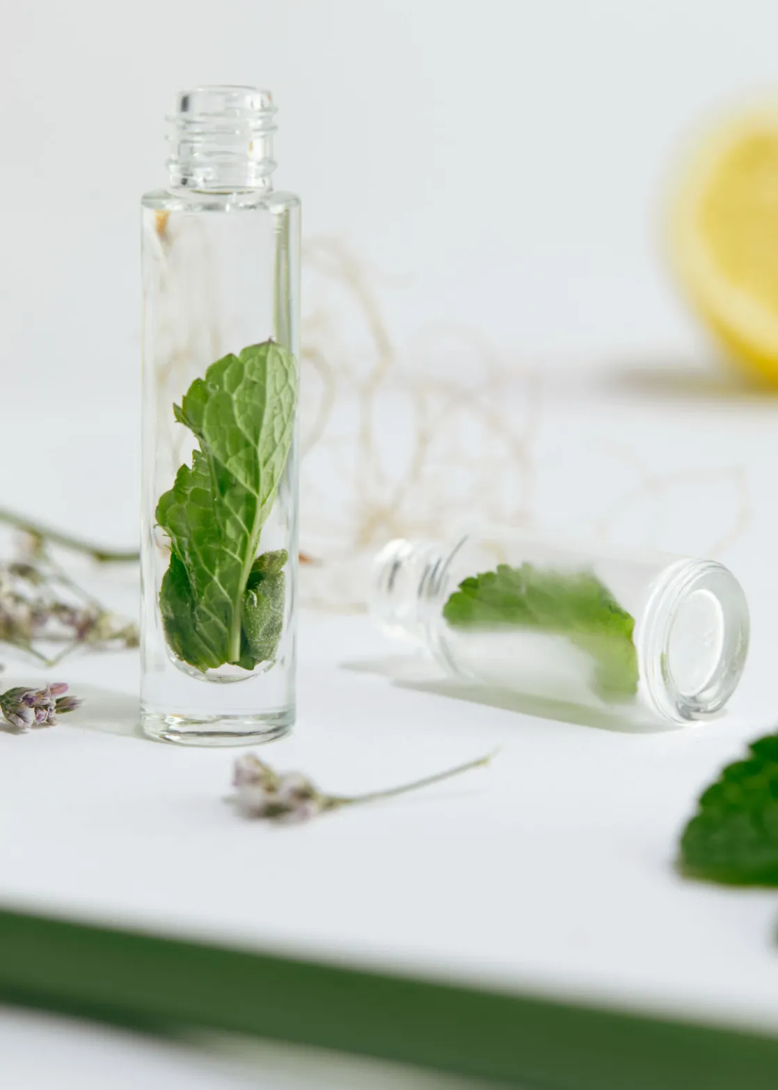 Fjäderholmarna Verbena Lip Balm