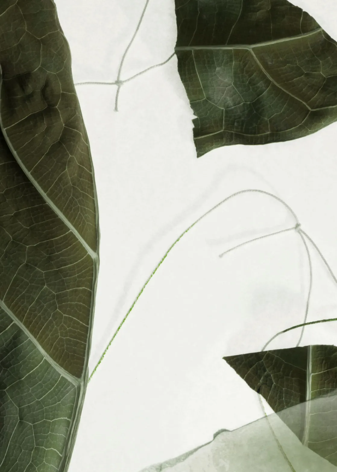 Mini Miami Muse Body Mist