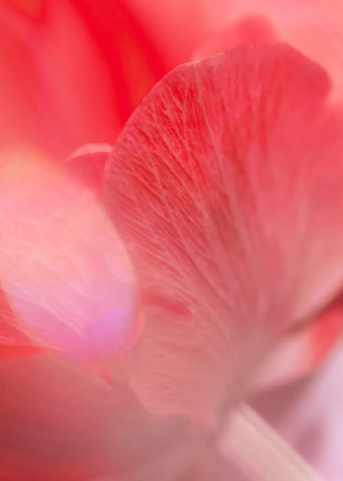 Déjà Vu Mood Body Mist